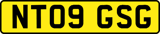NT09GSG