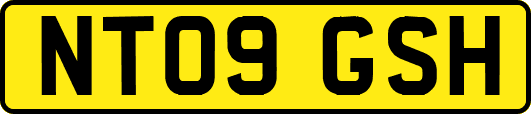 NT09GSH