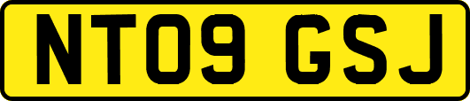 NT09GSJ