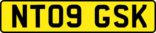 NT09GSK