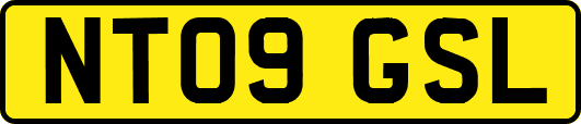 NT09GSL
