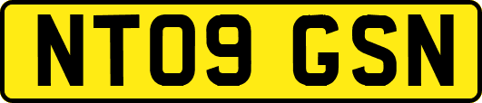 NT09GSN