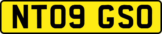 NT09GSO