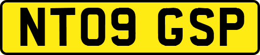 NT09GSP