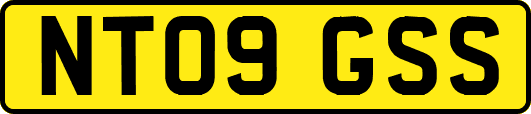 NT09GSS