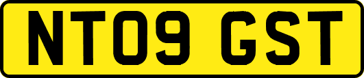 NT09GST