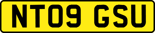 NT09GSU