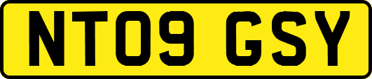 NT09GSY