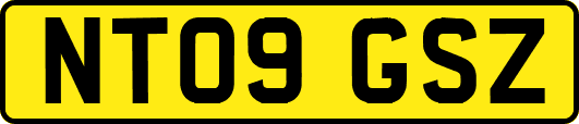 NT09GSZ