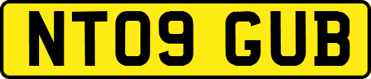 NT09GUB