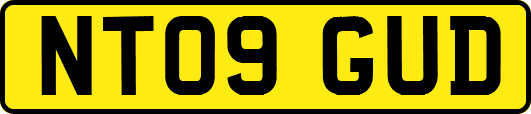 NT09GUD