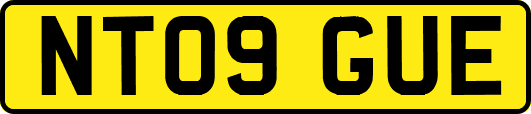 NT09GUE