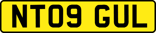 NT09GUL