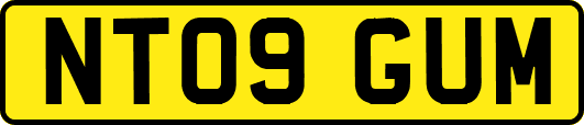 NT09GUM