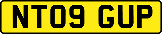 NT09GUP