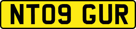 NT09GUR