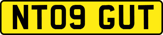NT09GUT