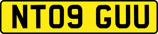 NT09GUU