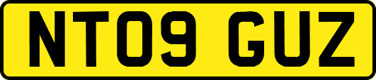 NT09GUZ