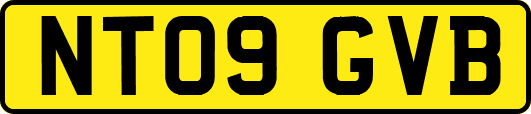 NT09GVB