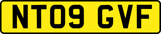 NT09GVF