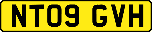 NT09GVH
