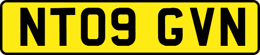 NT09GVN