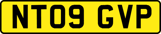 NT09GVP