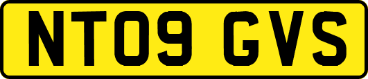 NT09GVS