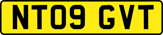NT09GVT