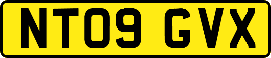 NT09GVX