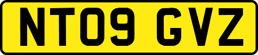 NT09GVZ