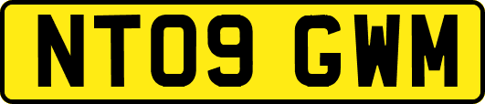 NT09GWM
