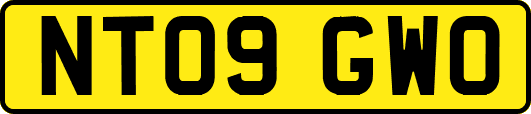 NT09GWO