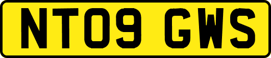 NT09GWS