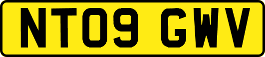 NT09GWV