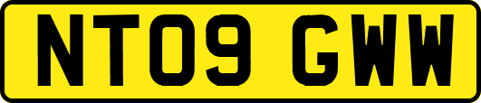 NT09GWW