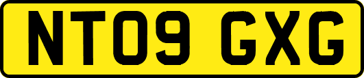 NT09GXG