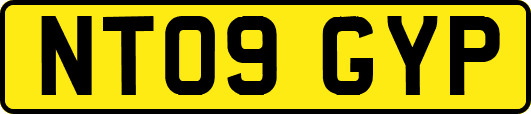 NT09GYP