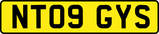 NT09GYS