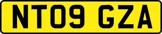NT09GZA