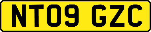 NT09GZC