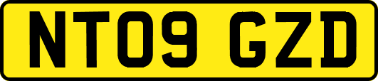 NT09GZD