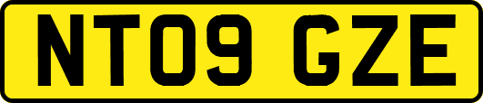 NT09GZE