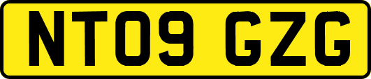 NT09GZG