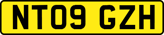 NT09GZH