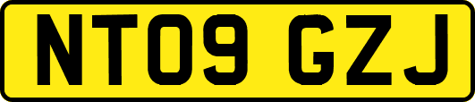 NT09GZJ