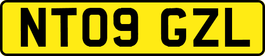 NT09GZL