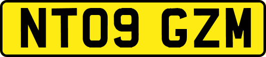 NT09GZM
