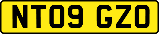 NT09GZO